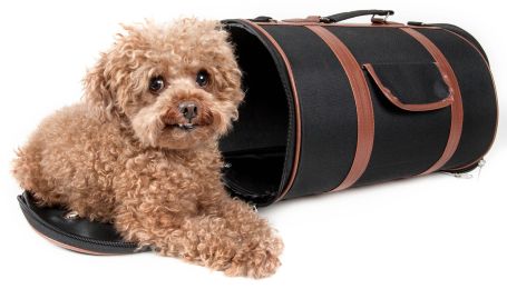 Airline Approved Fashion Cylinder Dog Carrier