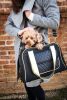 Airline Approved Mystique Fashion Dog Carrier