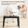 Elevated Dog Bowls Foldable