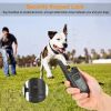 Dog Training Collar Rechargeable