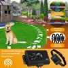 Electric Dog Fence System