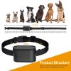 Electric Dog Fence System