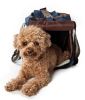 Fashion Canvas Tote Dog Carrier