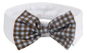 Trendy Dog Bowtie