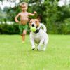 Wireless Electric Invisible Dog Fence