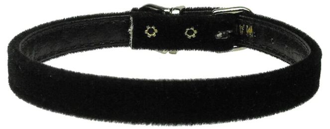 Velvet 3/8" Plain Dog Collar (Color/Size: Black-12)