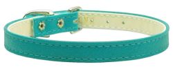 3/8" Plain Dog Collar Turquoise