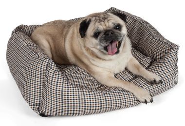 Wick-Away Nano-Silver Anti-Bacterial Rectangular Dog Bed (Size: M)