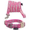 Touchdog 'Caliber' Designer Dog Leash And Collar Combination