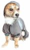 Dog Helios 'Namastail' Lightweight Yoga Dog Hoodie Tracksuit