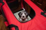 Folding Deluxe 360 Vista View Dog Carrier