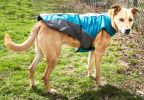 Helios Altitude-Mountaineer Wrap Dog Coat w/ Blackshark technology