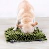 'Sniffer Grip' Interactive Dog Snuffle Mat