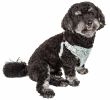 Adjustable Dog Harness W/ Designer Bowtie