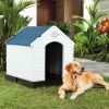 Plastic Dog House