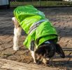 Reflecta-Glow Reflective Waterproof Adjustable PVC Pet Raincoat