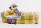 Touchdog 'Archi-Checked' Designer Plaid Oval Dog Bed