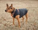 Touchdog Waggin Swag Reversible Insulated Dog Vest